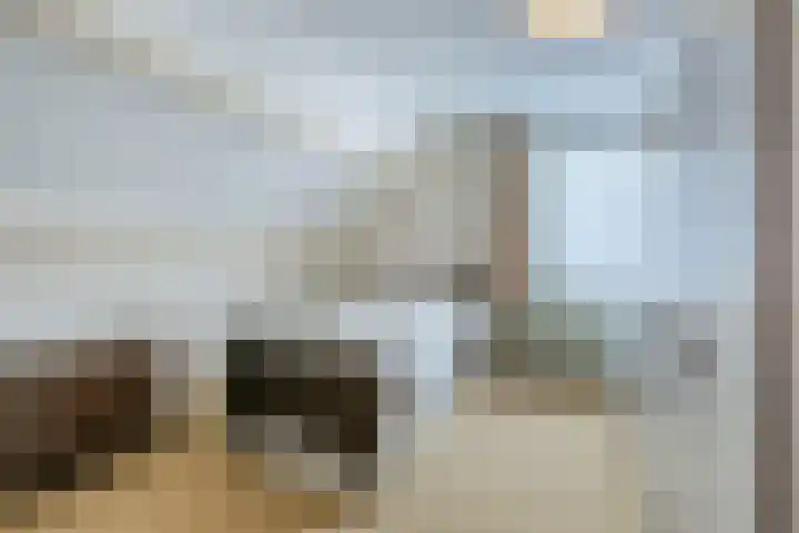 Beukenhoek 27 Vroomshoop thumbnail 21