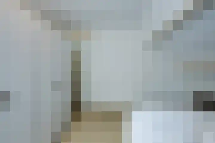 Beukenhoek 27 Vroomshoop thumbnail 23