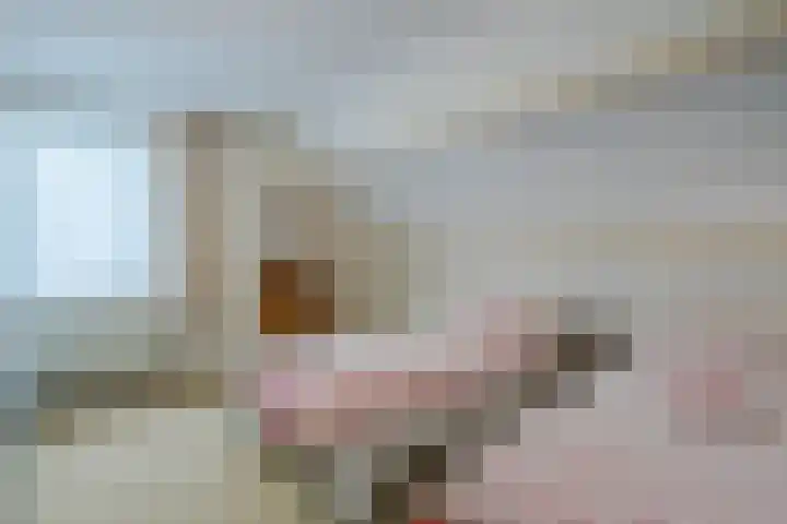 Beukenhoek 27 Vroomshoop thumbnail 24