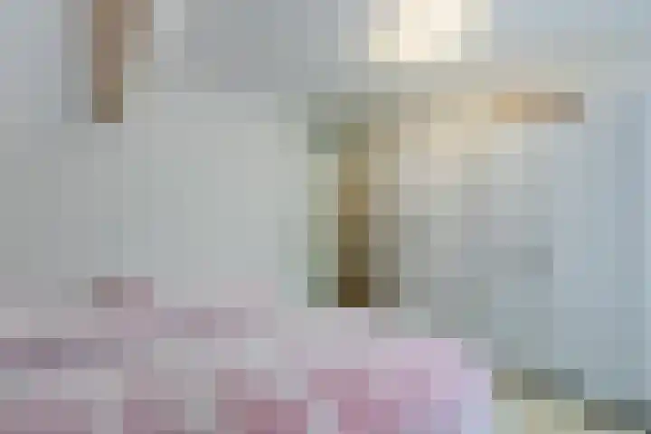 Beukenhoek 27 Vroomshoop thumbnail 25