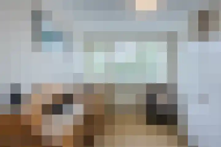 Beukenhoek 27 Vroomshoop thumbnail 26
