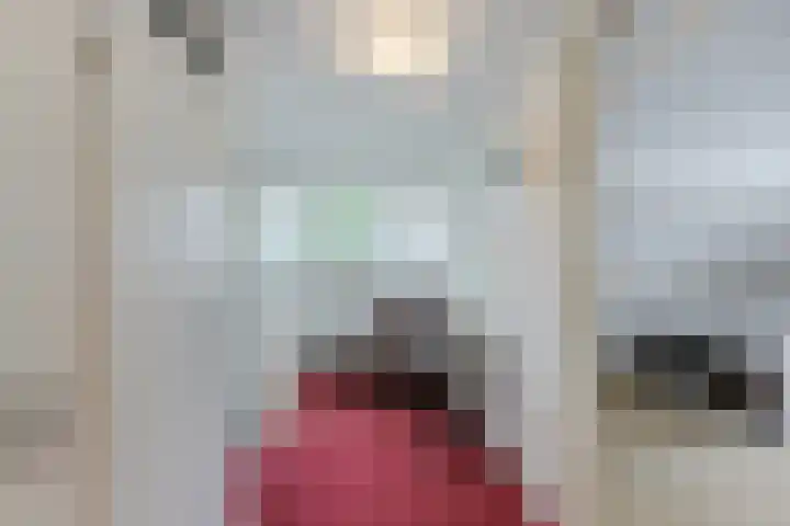 Beukenhoek 27 Vroomshoop thumbnail 28