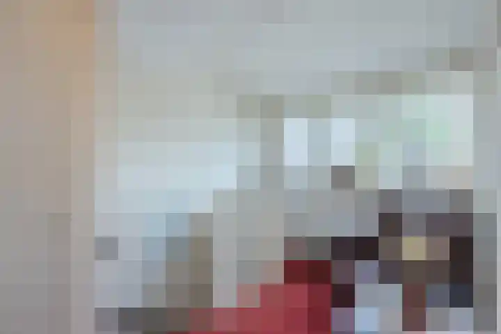 Beukenhoek 27 Vroomshoop thumbnail 29