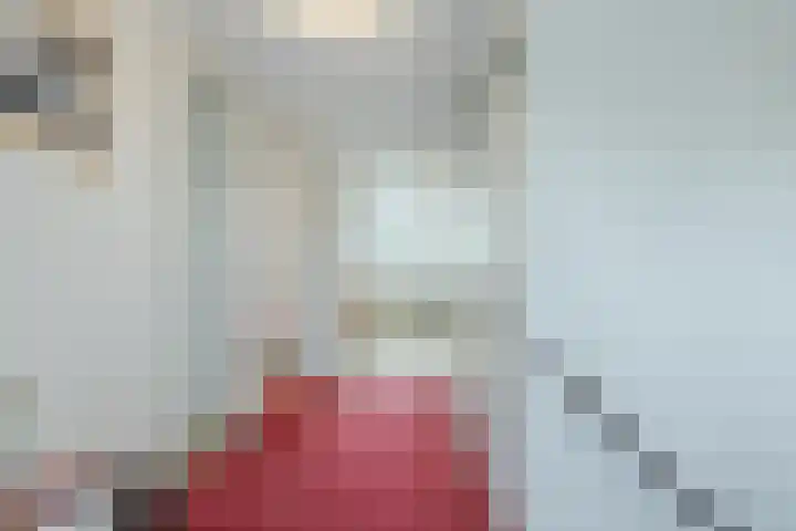 Beukenhoek 27 Vroomshoop thumbnail 30