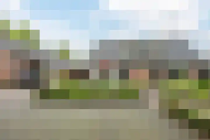 Beukenhoek 27 Vroomshoop thumbnail 33
