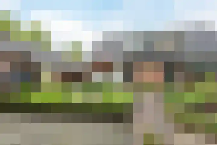 Beukenhoek 27 Vroomshoop thumbnail 36