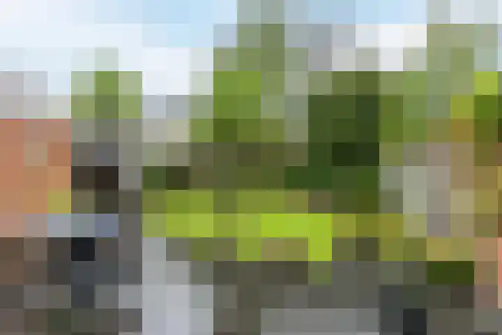 Beukenhoek 27 Vroomshoop thumbnail 37