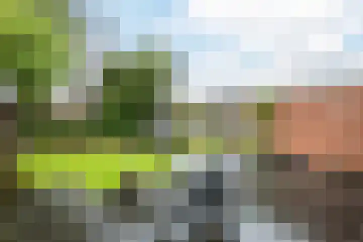 Beukenhoek 27 Vroomshoop thumbnail 38