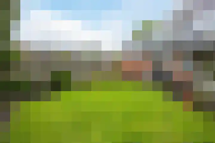 Beukenhoek 27 Vroomshoop thumbnail 39