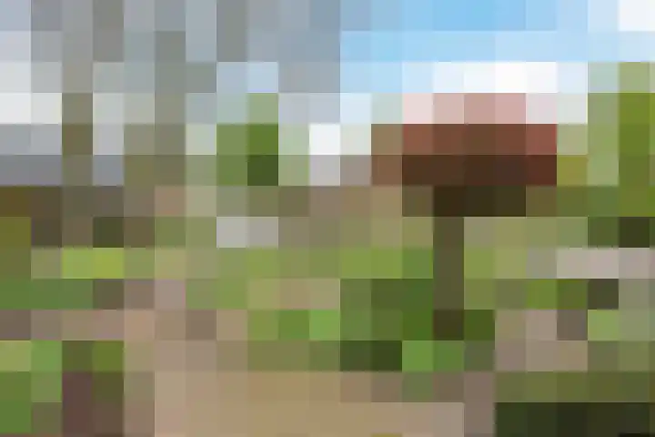 Beukenhoek 27 Vroomshoop thumbnail 4