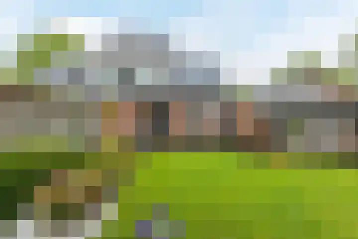 Beukenhoek 27 Vroomshoop thumbnail 40