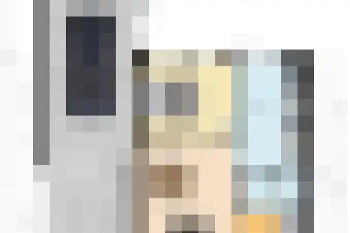 Beukenhoek 27 Vroomshoop thumbnail 41