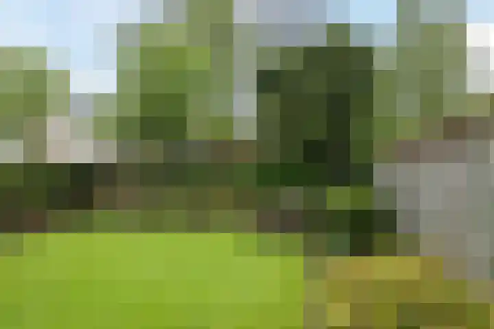 Beukenhoek 27 Vroomshoop thumbnail 5