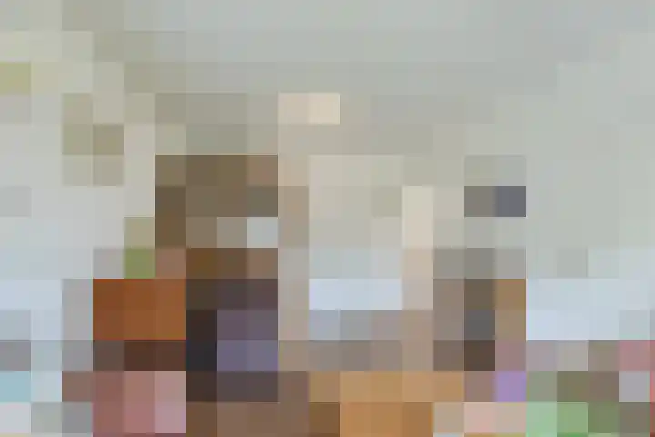Beukenhoek 27 Vroomshoop thumbnail 9