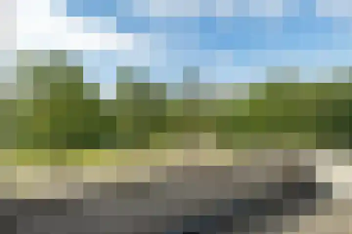 Beukenhof 120 Lelystad thumbnail 28