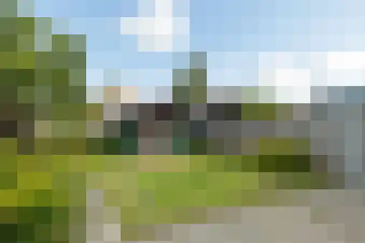 Beukenhof 120 Lelystad thumbnail 33