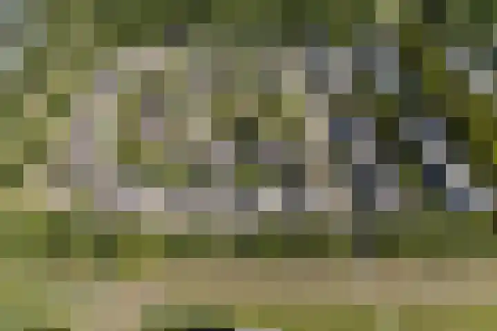 Beukenhof 120 Lelystad thumbnail 4