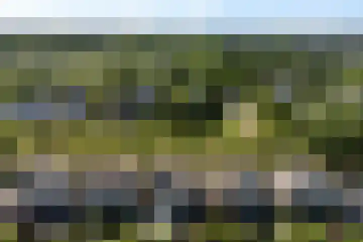 Beukenhof 120 Lelystad thumbnail 6