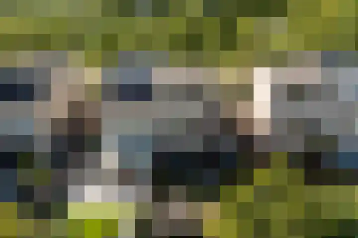 Beukenhof 120 Lelystad thumbnail 7