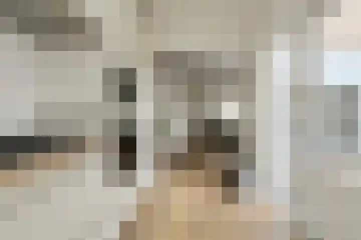Beukenhof 18 Prinsenbeek thumbnail 13