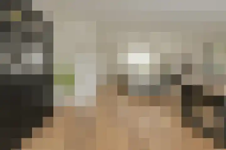 Beukenhof 18 Prinsenbeek thumbnail 15