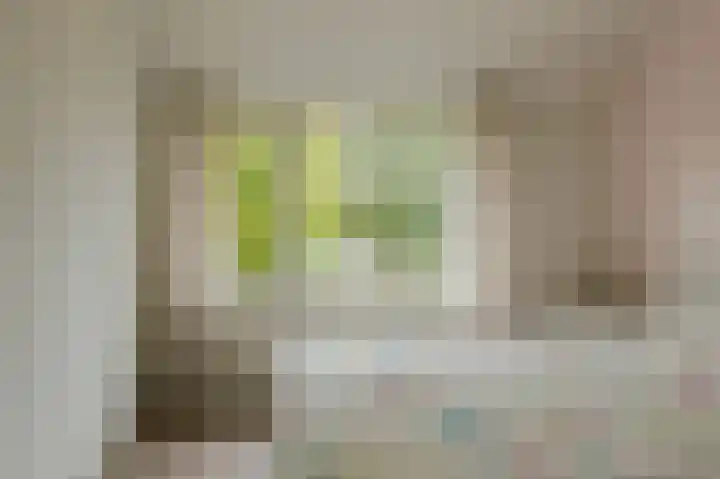 Beukenhof 18 Prinsenbeek thumbnail 23