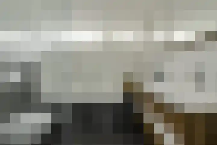 Beukenhof 18 Prinsenbeek thumbnail 25