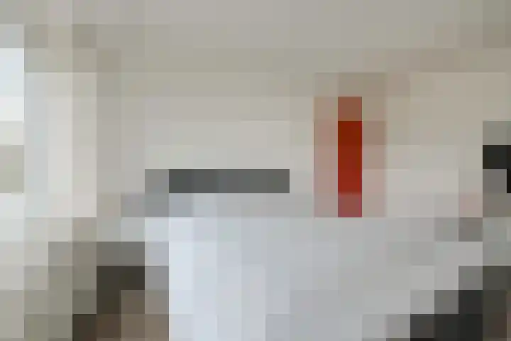 Beukenhof 18 Prinsenbeek thumbnail 29
