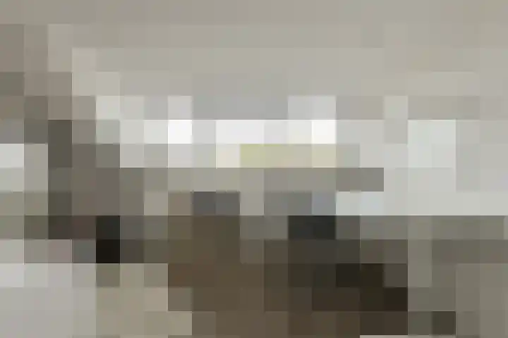 Beukenhof 18 Prinsenbeek thumbnail 35