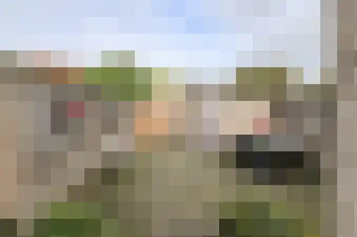Beukenhof 18 Prinsenbeek thumbnail 39