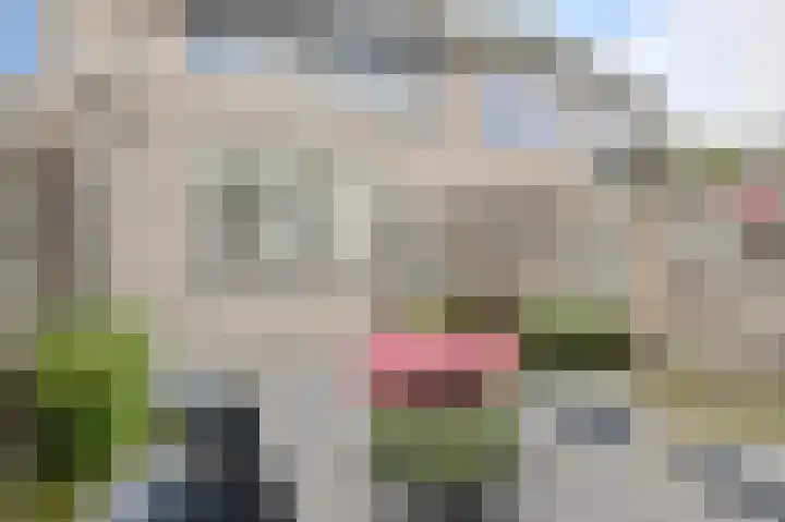 Beukenhof 18 Prinsenbeek thumbnail 42