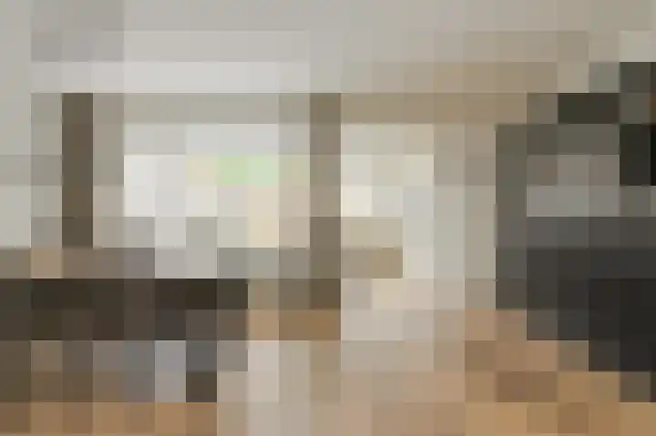 Beukenhof 18 Prinsenbeek thumbnail 9