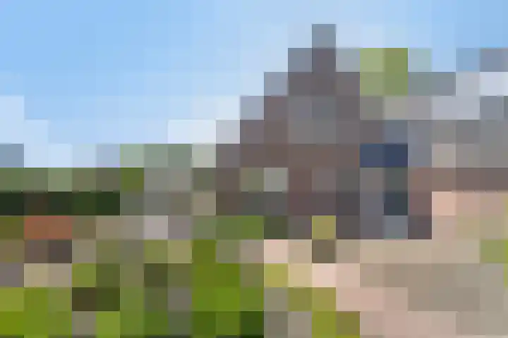 Beukenhof 18 Uithuizermeeden thumbnail 10