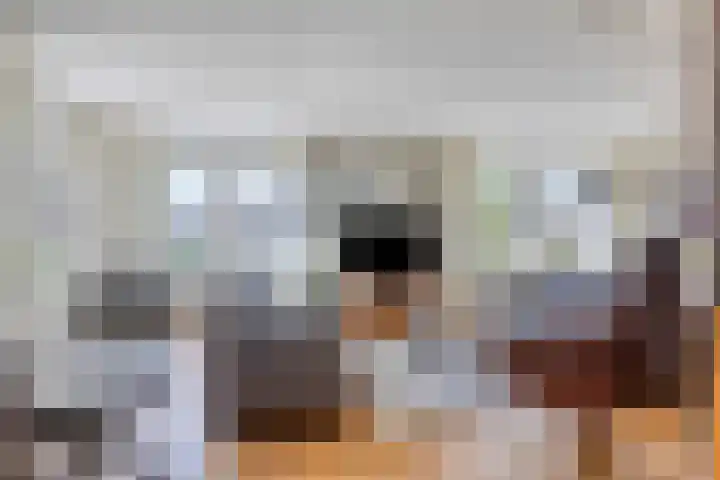 Beukenhof 18 Uithuizermeeden thumbnail 14