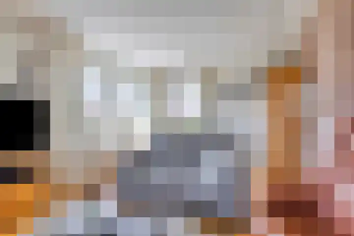 Beukenhof 18 Uithuizermeeden thumbnail 15