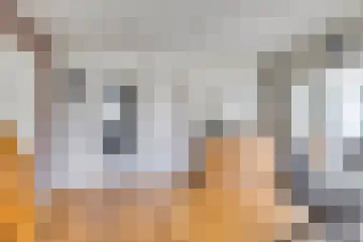 Beukenhof 18 Uithuizermeeden thumbnail 17