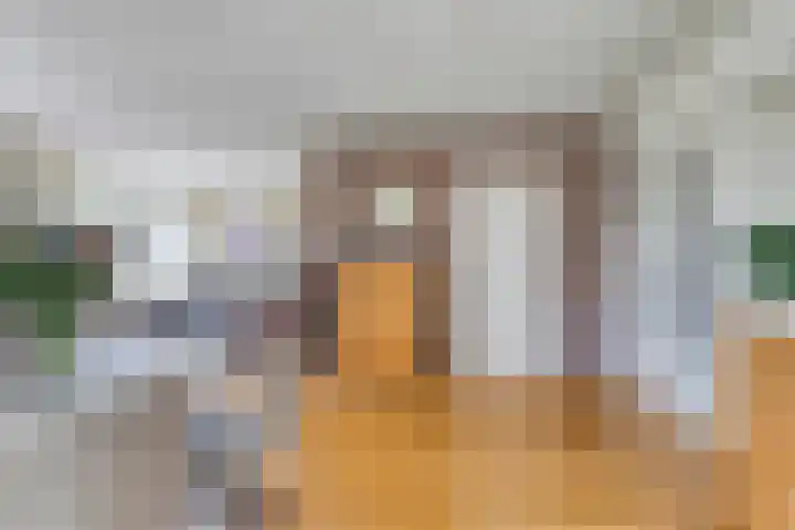 Beukenhof 18 Uithuizermeeden thumbnail 19