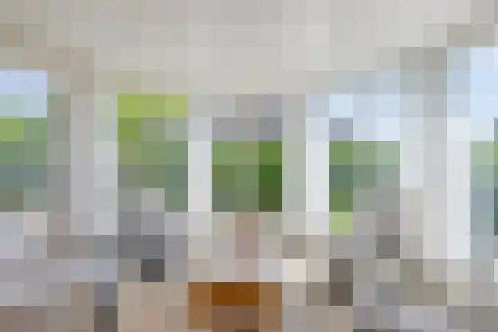 Beukenhof 18 Uithuizermeeden thumbnail 20