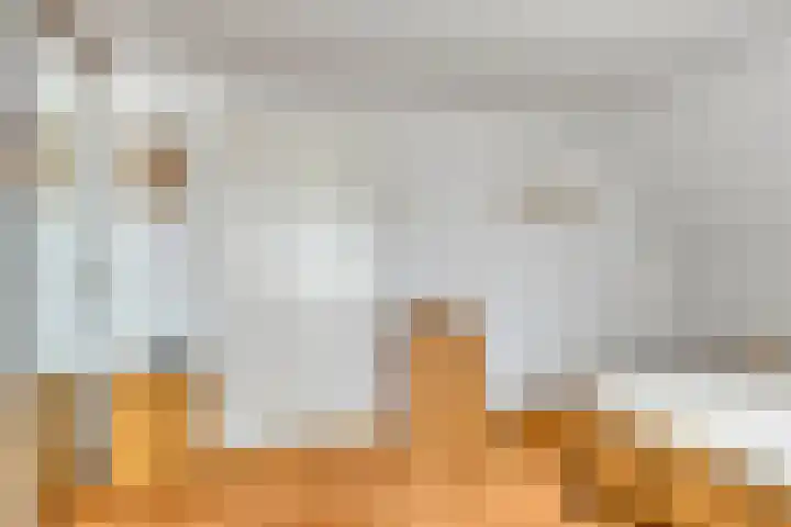 Beukenhof 18 Uithuizermeeden thumbnail 32