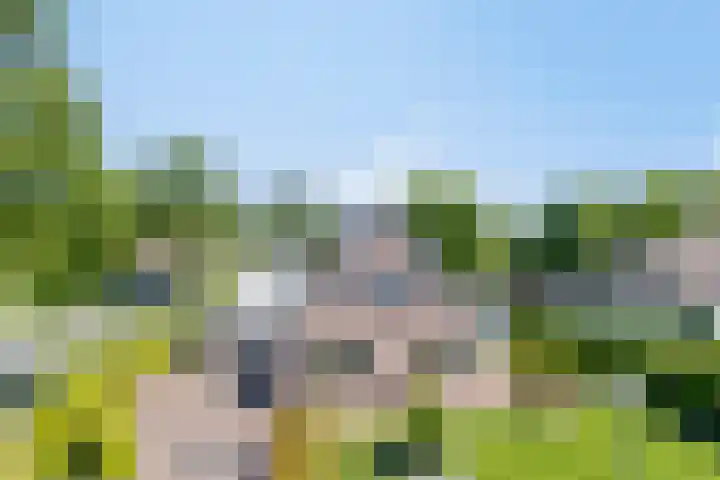 Beukenhof 18 Uithuizermeeden thumbnail 39