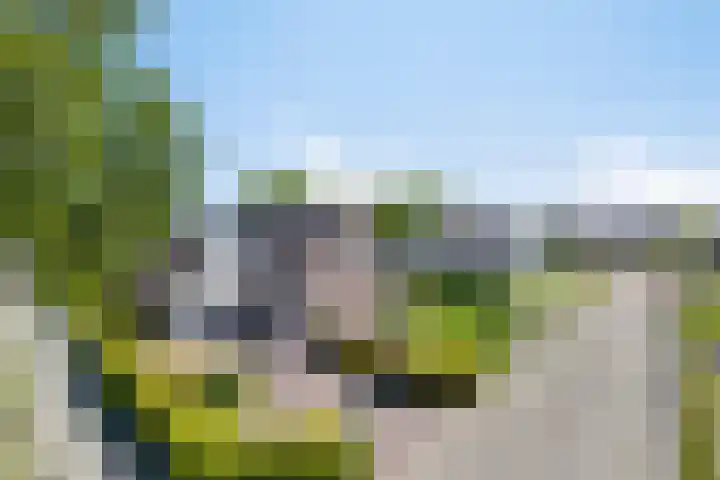 Beukenhof 18 Uithuizermeeden thumbnail 4