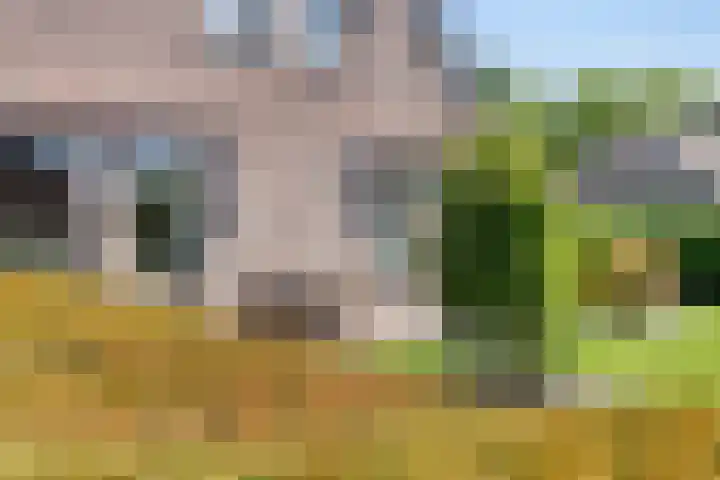 Beukenhof 18 Uithuizermeeden thumbnail 41