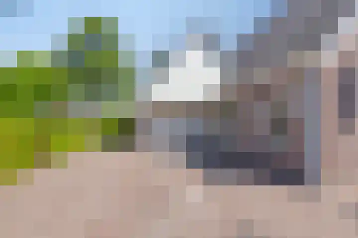 Beukenhof 18 Uithuizermeeden thumbnail 42