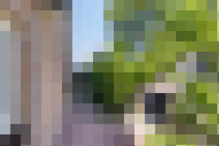 Beukenhof 18 Uithuizermeeden thumbnail 43