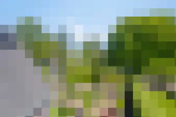 Beukenhof 18 Uithuizermeeden thumbnail 44