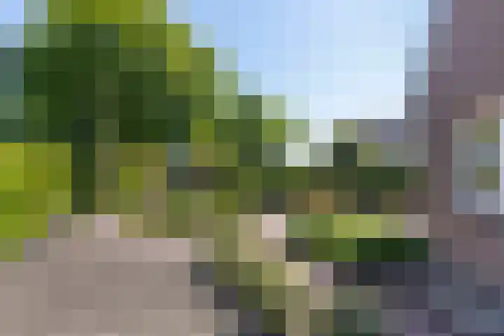 Beukenhof 18 Uithuizermeeden thumbnail 45