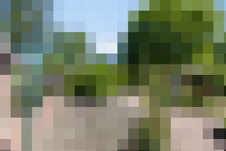 Beukenhof 18 Uithuizermeeden thumbnail 46