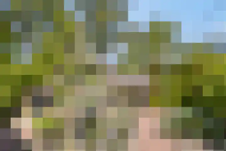 Beukenhof 18 Uithuizermeeden thumbnail 47