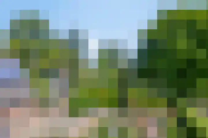 Beukenhof 18 Uithuizermeeden thumbnail 48