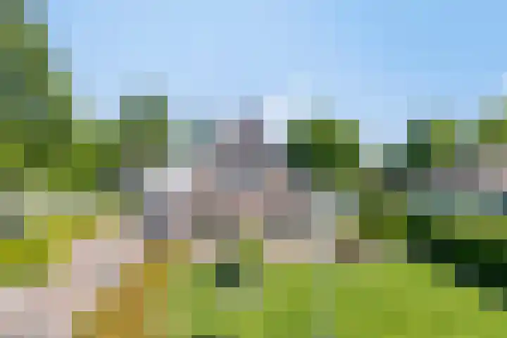 Beukenhof 18 Uithuizermeeden thumbnail 5
